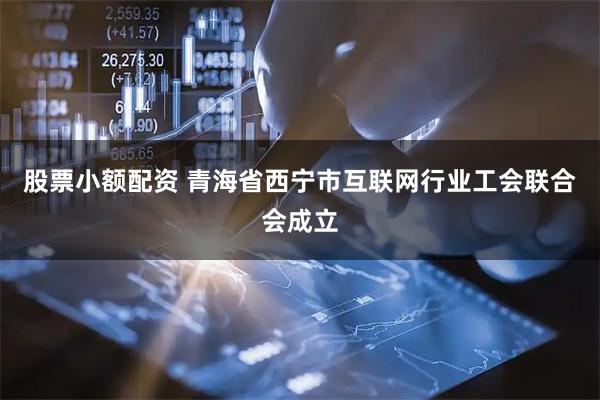 股票小额配资 青海省西宁市互联网行业工会联合会成立