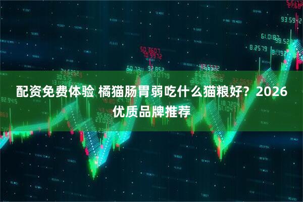 配资免费体验 橘猫肠胃弱吃什么猫粮好？2026优质品牌推荐