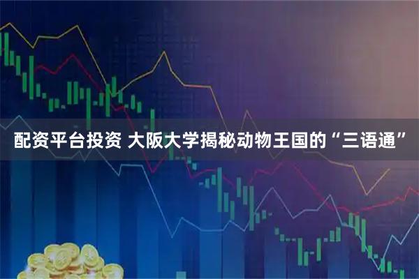 配资平台投资 大阪大学揭秘动物王国的“三语通”