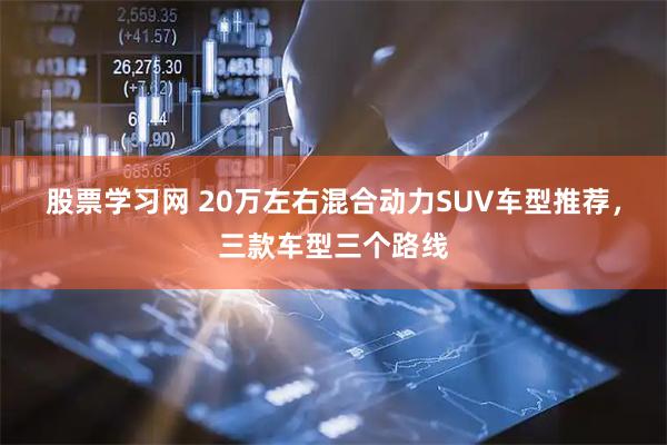 股票学习网 20万左右混合动力SUV车型推荐，三款车型三个路线