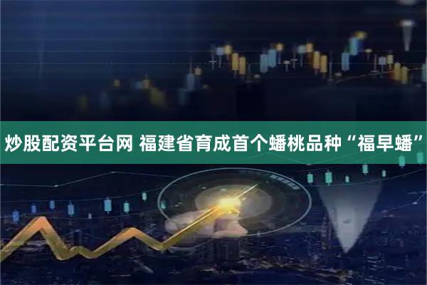 炒股配资平台网 福建省育成首个蟠桃品种“福早蟠”